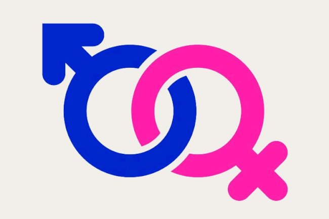 DATA PENGARUSUTAMAAN GENDER (PUG) TAHUN 2025